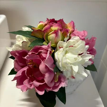 Villa Mercedes Etxea Kripan
