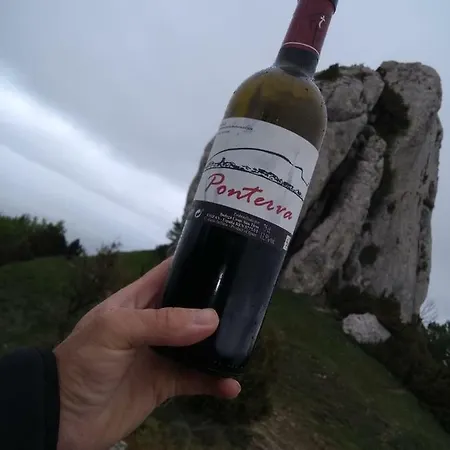 Mercedes Etxea Kripan