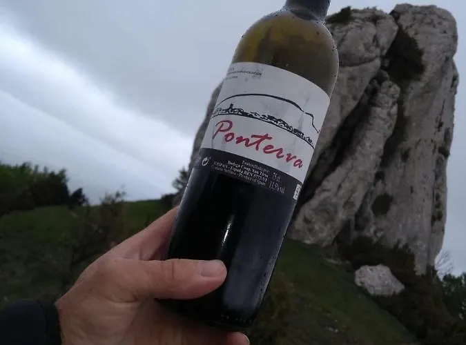 Mercedes Etxea Kripan